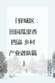 驿城区：田园瓜果香四溢 乡村产业谱新篇