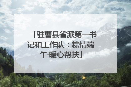 驻曹县省派第一书记和工作队：粽情端午·暖心帮扶