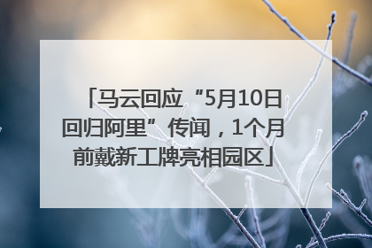 马云回应“5月10日回归阿里”传闻，1个月前戴新工牌亮相园区