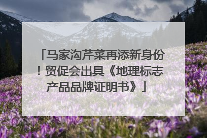 马家沟芹菜再添新身份！贸促会出具《地理标志产品品牌证明书》