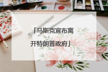 马斯克宣布离开特朗普政府