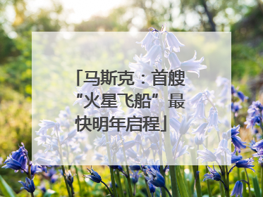 马斯克：首艘“火星飞船”最快明年启程