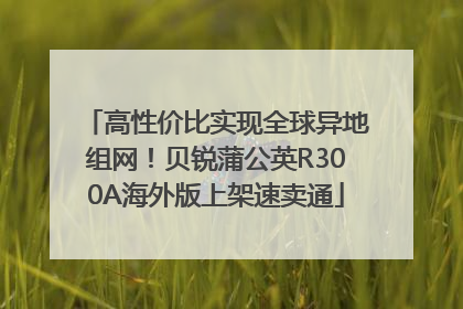 高性价比实现全球异地组网！贝锐蒲公英R300A海外版上架速卖通