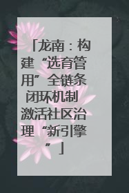 龙南：构建“选育管用”全链条闭环机制 激活社区治理“新引擎”