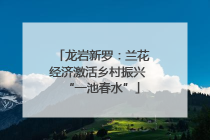 龙岩新罗：兰花经济激活乡村振兴“一池春水”