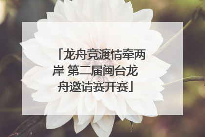 龙舟竞渡情牵两岸 第二届闽台龙舟邀请赛开赛