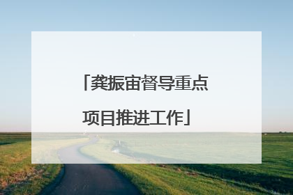 龚振宙督导重点项目推进工作