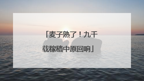 麦子熟了！九千载稼穑中原回响