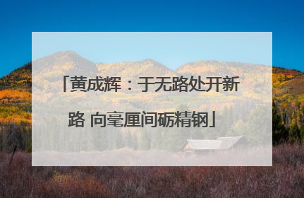 黄成辉：于无路处开新路 向毫厘间砺精钢