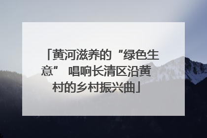 黄河滋养的“绿色生意” 唱响长清区沿黄村的乡村振兴曲