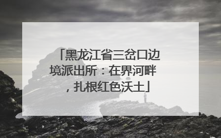 黑龙江省三岔口边境派出所：在界河畔，扎根红色沃土