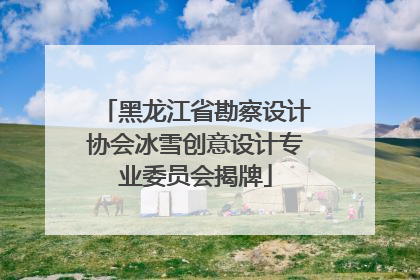 黑龙江省勘察设计协会冰雪创意设计专业委员会揭牌