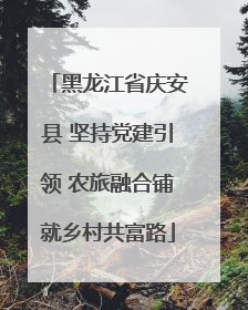 黑龙江省庆安县 坚持党建引领 农旅融合铺就乡村共富路