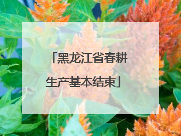 黑龙江省春耕生产基本结束