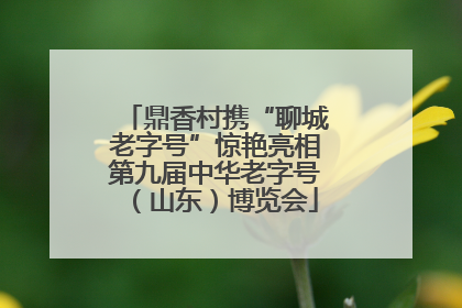 鼎香村携“聊城老字号”惊艳亮相第九届中华老字号（山东）博览会