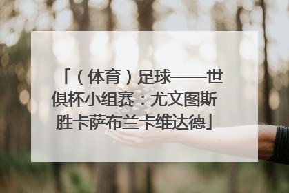 （体育）足球——世俱杯小组赛：尤文图斯胜卡萨布兰卡维达德