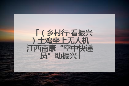 （乡村行·看振兴）土鸡坐上无人机 江西南康“空中快递员”助振兴