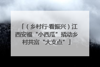 （乡村行·看振兴）江西安福“小西瓜”撬动乡村共富“大支点”