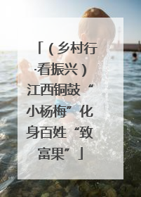 （乡村行·看振兴）江西铜鼓“小杨梅”化身百姓“致富果”