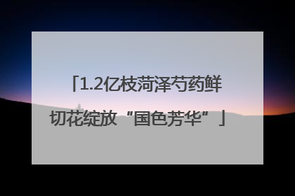 1.2亿枝菏泽芍药鲜切花绽放“国色芳华”