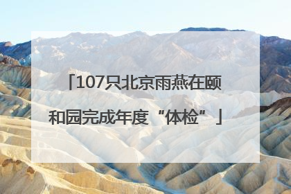 107只北京雨燕在颐和园完成年度“体检”