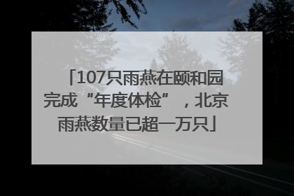 107只雨燕在颐和园完成“年度体检”，北京雨燕数量已超一万只