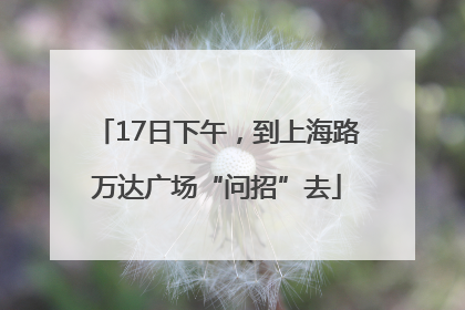 17日下午，到上海路万达广场“问招”去