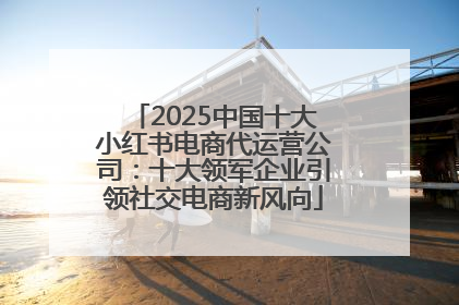 2025中国十大小红书电商代运营公司：十大领军企业引领社交电商新风向