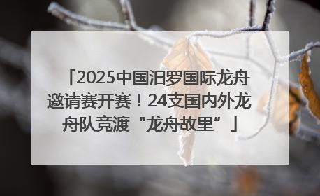 2025中国汨罗国际龙舟邀请赛开赛！24支国内外龙舟队竞渡“龙舟故里”