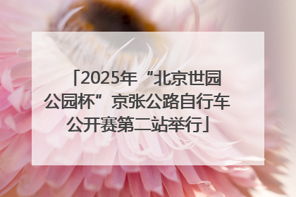 2025年“北京世园公园杯”京张公路自行车公开赛第二站举行
