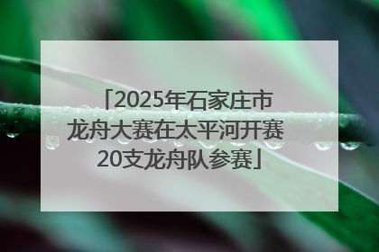 2025年石家庄市龙舟大赛在太平河开赛 20支龙舟队参赛
