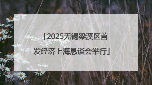 2025无锡梁溪区首发经济上海恳谈会举行
