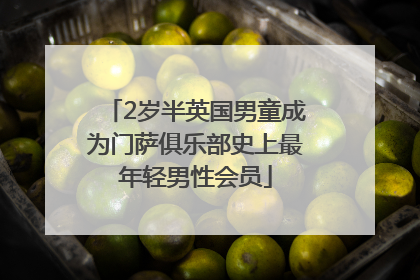 2岁半英国男童成为门萨俱乐部史上最年轻男性会员
