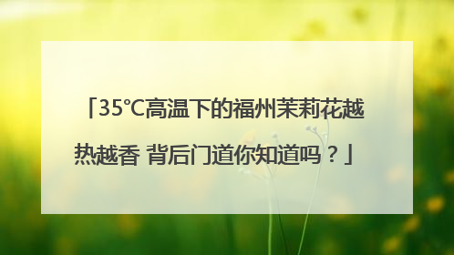 35℃高温下的福州茉莉花越热越香 背后门道你知道吗？