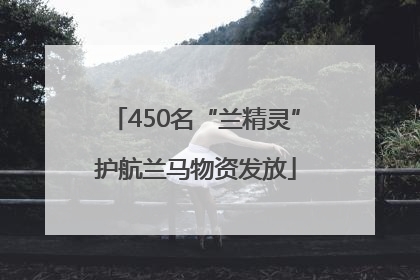450名“兰精灵”护航兰马物资发放