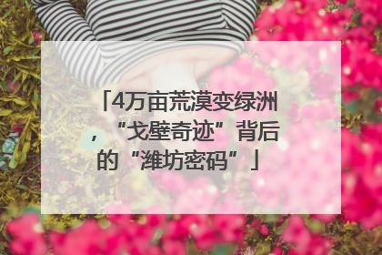 4万亩荒漠变绿洲，“戈壁奇迹”背后的“潍坊密码”