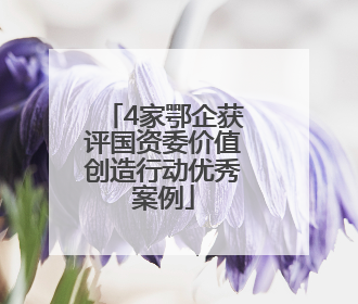 4家鄂企获评国资委价值创造行动优秀案例