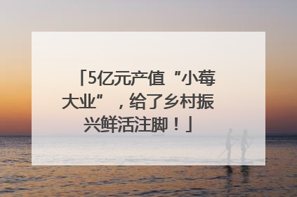 5亿元产值“小莓大业”，给了乡村振兴鲜活注脚！