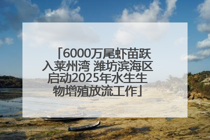 6000万尾虾苗跃入莱州湾 潍坊滨海区启动2025年水生生物增殖放流工作