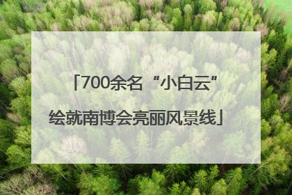 700余名“小白云”绘就南博会亮丽风景线