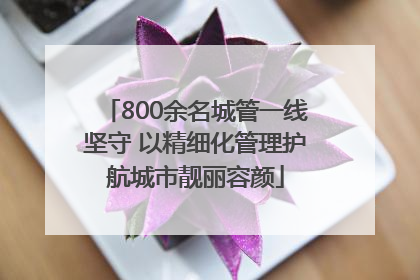 800余名城管一线坚守 以精细化管理护航城市靓丽容颜