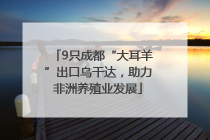 9只成都“大耳羊”出口乌干达，助力非洲养殖业发展