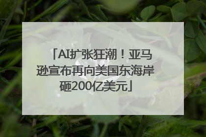 AI扩张狂潮！亚马逊宣布再向美国东海岸砸200亿美元