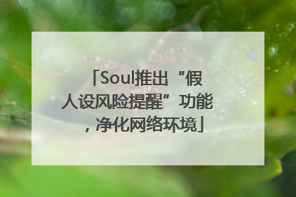 Soul推出“假人设风险提醒”功能，净化网络环境